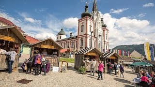 Doku Mariazeller Land  Geheimnisvolle Bergwelt zwischen Ötscherland und Hochschwab HD [upl. by Nehgam]