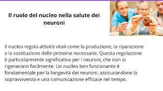 Il Corpo cellulare del Neurone e il ruolo del Nucleo [upl. by Watkins60]