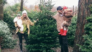 The Elf Has Arrived amp Picking Our Christmas Tree With The Family  Vlogmas Day 1 [upl. by Photima]