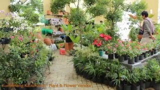 Kumikitang Kabuhayan  Plants amp Flowers Vendor 2016 [upl. by Anitsirk]