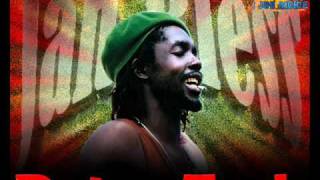 Peter Tosh  Peace Treaty [upl. by Ludovika]