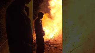 Shocking Explosion at Firework Festival FireworkFestival shockingmoment FestivalVibes [upl. by Anoo]