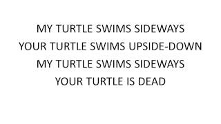 The Turtle Song [upl. by Siskind]