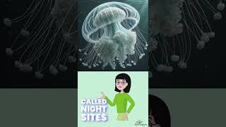 Fact about Jellyfish [upl. by Nivad]