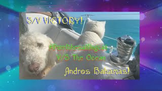 quotPurrltheSailingCat Takes on the Ocean SV Victory Explores Andros Bahamas Episode 9quot [upl. by Marijo254]