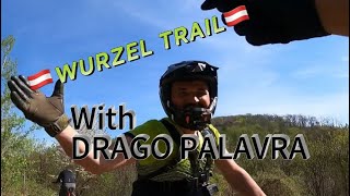 Wienerwald Wurzel Trail 2024 with Drago Palavra  Cube Stereo Hybrid 140 TM amp Giant Reign SX [upl. by Kehr647]