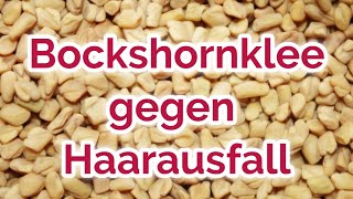 Bockshornklee gegen Haarausfall Schuppen Entzündungen und Co [upl. by Yerok659]