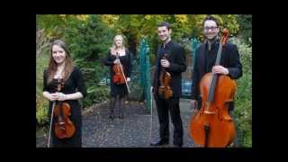 Didsbury String Quartet Family Guy Theme Walter Murphy [upl. by Leda214]