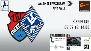 8Spieltag TSV Steinbach  SV Waldhof [upl. by Neelhtac]