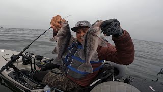 Sonoma Coast  Fort Ross Kayak Fishing For Rockfish [upl. by Imoyn802]