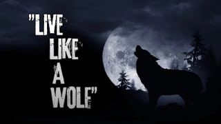 Live like a Wolf  Motivational video  Habits of a wolf  Motivational quotes Zeeraks Biology [upl. by Yak]