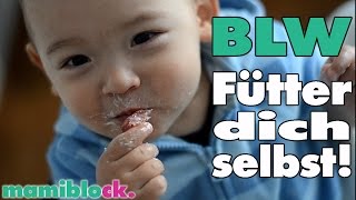 Was ist Baby Led Weaning  3 super einfache Rezepte  BLW  mamiblock kiDchen [upl. by Adelaja]