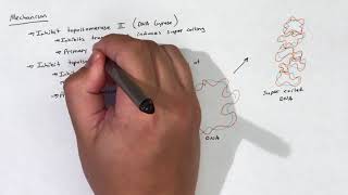 Fluoroquinolones [upl. by Adias]