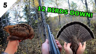 INSANE Solo Woodcock and GROUSE HUNTING LIMITED OUT [upl. by Anailli]