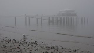 Ostseetrip im Nebel  Trek along the Baltic coast with snow and fog Teil 22 [upl. by Snow]