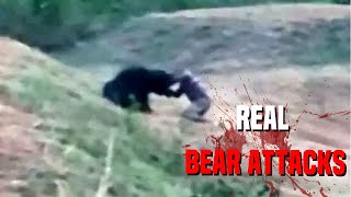 Natures Most SAVAGE Bear Attacks [upl. by Yoo]