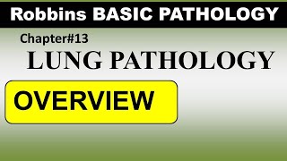 Chp13 Robbins Patho  Lung Pathology  Overview of Lung Disorders [upl. by Sorce]