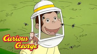 George the Beekeeper 🐵 Curious George 🐵 Kids Cartoon 🐵 Kids Movies [upl. by Tennek986]