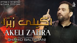 Ayyam e Fatmiyah Noha 2023  Akeli Zahra  Shahid Baltistani  Noha Bibi Fatima Zahra [upl. by Berthold33]