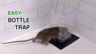 bottle ratmouse trap [upl. by Intisar]