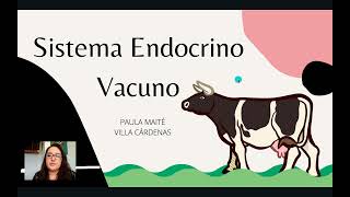 Sistema endocrino vacuno [upl. by Odey]