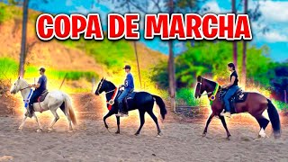 COPA de MARCHA no HARAS do PEPÊ [upl. by Noseimaj]