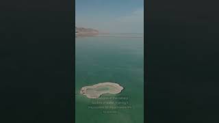 The Dead Sea Earths Lowest Point facts fascinatingflashfacts funfacts [upl. by Acisseg325]