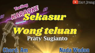 Sekasur Wong Teluan Praty Sugianto KARAOKE TARLING NADA WADON [upl. by Bobinette914]