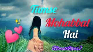 Tumse Mohabbat hai Slowed Reverb Hindi Songs 💕 Romantic Song [upl. by Nytsuj]