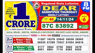 Lottery Result Today 8pm 14112024  Official  Nagaland Lottery [upl. by Regnij]