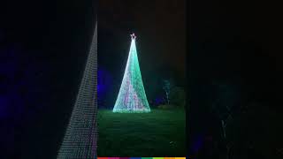 Christmas at Kew Gardens 🎄⁠ christmas christmaslights christmasmarket london shorts [upl. by Eek]