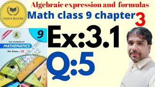 Class  9th Ex  24 Q 5 i ii POLYNOMIALS Maths NCERT CBSE [upl. by Oakes]