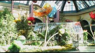 Bellagio Conservatory Summer Display [upl. by Harraf279]