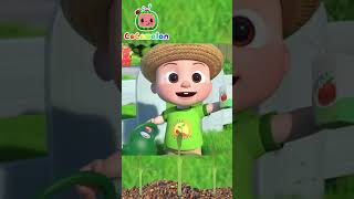 Gardening Song Shorts  CoComelon Nursery Rhymes and Kids Songs [upl. by Jung]