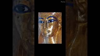 VLOG Egyptian Museum in Tahrir Square egypt ancientegypt history egyptian asmr vlogger vlog [upl. by Barina]