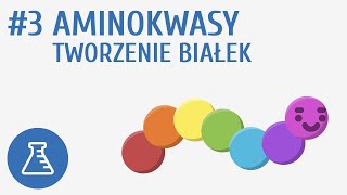 Aminokwasy tworzenie białek 3  Biologiczne związki organiczne [upl. by Chu141]