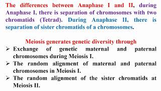 Different between Anaphase I and II and Process of Genetic Diversity [upl. by Marlena]