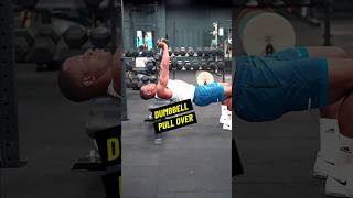 How To Dumbbell Pull Over [upl. by Brodench]