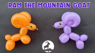 How to make RAM MOUNTAIN GOAT balloon How to make balloon animals balloon animals for beginners [upl. by Annorah972]