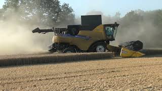 Harvest 2024  New Holland CR890 Harvesting Dusty Wheat [upl. by Rech412]