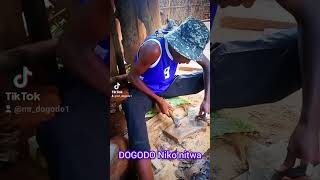 Nyaxo comedy 2024 amp DOGODO COMEDY umucuzi original from huye duseketwesetv funny [upl. by Harriman]