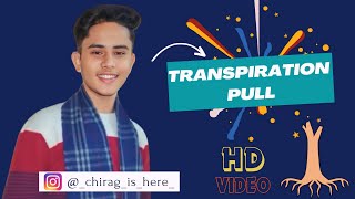 TRANSPIRATION PULL in just 2 minutes  EXPLANATION IN HINGLISH  CHIRAG GADWALIYA [upl. by Kieran]