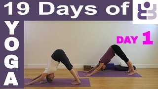 19 Days of Yoga  Day 1 Iyengar Yoga Sequence [upl. by May]