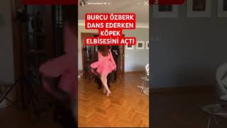 Burcu özberk dans ederken köpek bakın ne yaptı magazin shortsvideo [upl. by Eicnarf29]