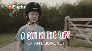 A Day In The Life  Equine Vet [upl. by Eleira]