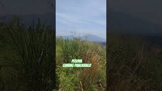 Gunung Pangrango gunungpangrango shortvideo [upl. by Lory139]