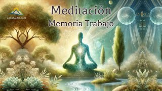 Meditación Memoria Trabajo [upl. by Kreit]