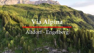 Hiking The Via Alpina Trail 7Altdorf  EngelbergSwitzerland 4k [upl. by Nnaeiluj]