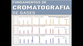 Fundamentos de Cromatografía de Gases [upl. by Fleming]