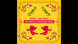 RITVIZ  Udd Gaye Progressive Brothers Remix [upl. by Mori]